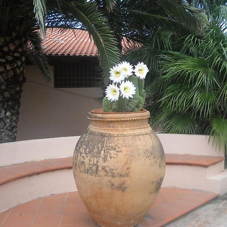 Hotel Villaggio Cala Di Volpe 카포바티카노 외부 사진