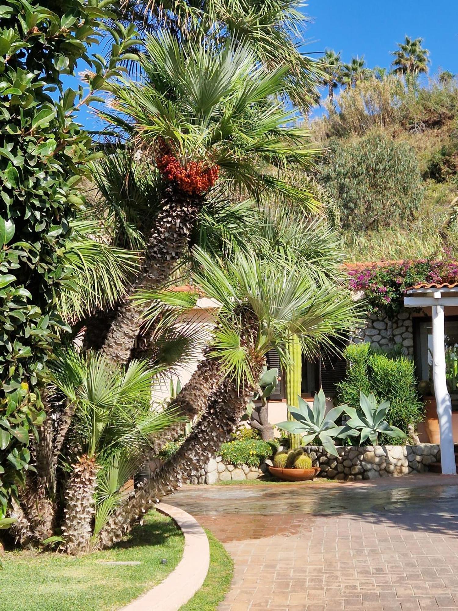 Hotel Villaggio Cala Di Volpe 카포바티카노 외부 사진