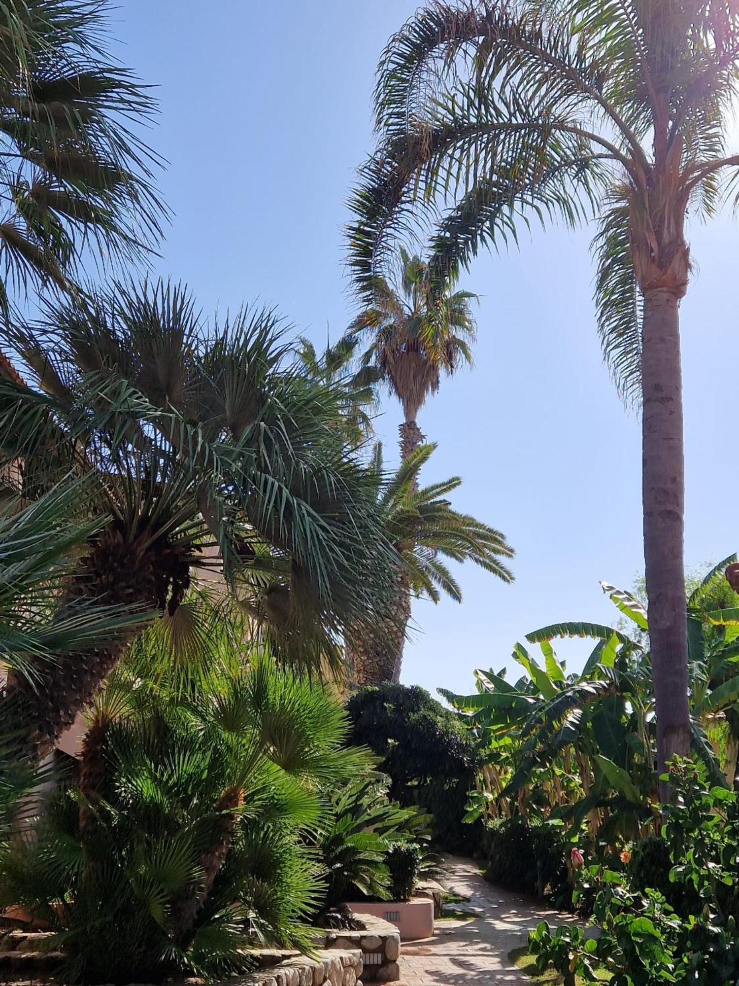 Hotel Villaggio Cala Di Volpe 카포바티카노 외부 사진