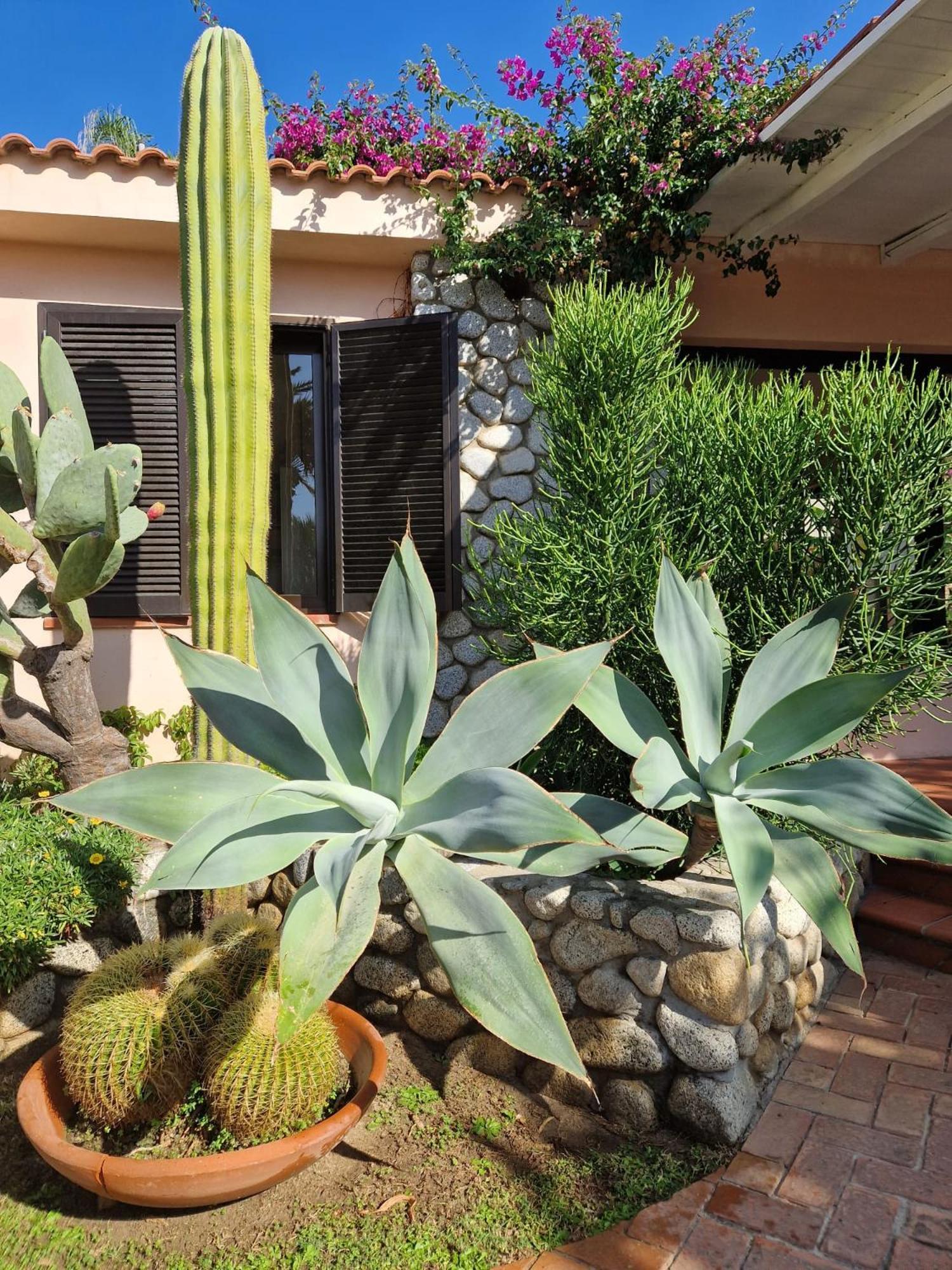 Hotel Villaggio Cala Di Volpe 카포바티카노 외부 사진