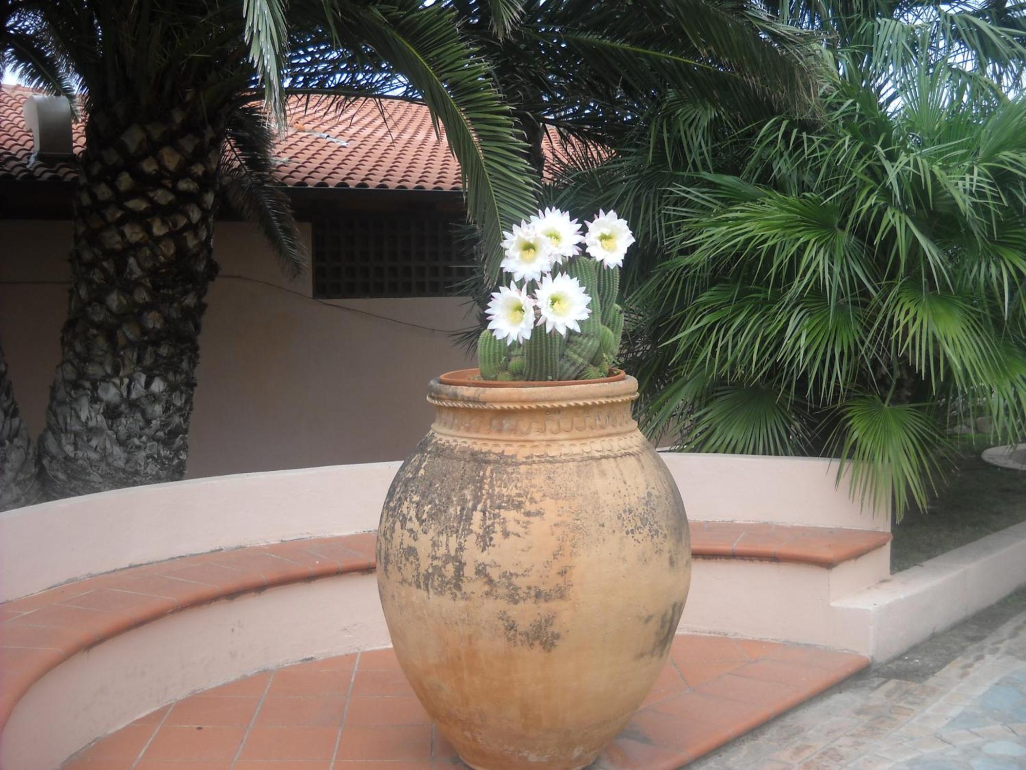 Hotel Villaggio Cala Di Volpe 카포바티카노 외부 사진